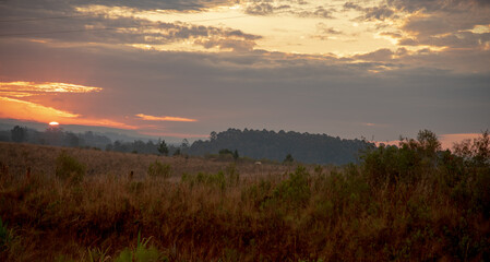 Fototapeta na wymiar Sunset in the fields of the Latin American Pampa Biome