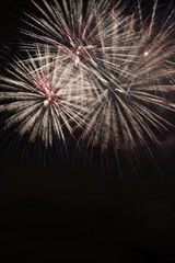 Naklejka premium Firework at the San Diego bay