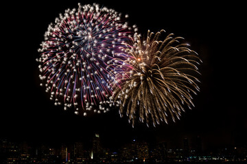Firework at the San Diego bay