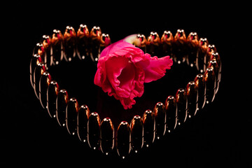 Mix of bullet with flowers to show the harmony of love