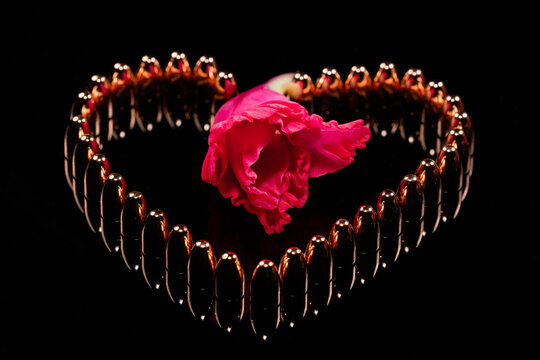 Mix of bullet with flowers to show the harmony of love