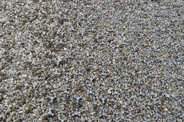 Image of Gravel floor with gravel slip prevention material