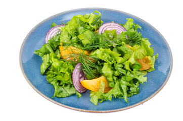 Vegetable dishes, fitness menu. Blue plate with salad on white background.