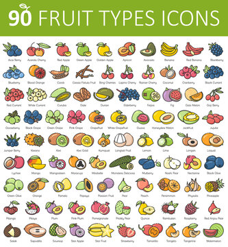 Fruits icons symbols isolated on white background with names