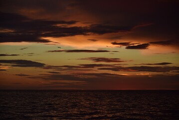 Autumn red sunset over the cold polar sea. Red clouds, illuminated by the cold sun, over the horizon. Photo from the side of the ship.