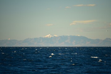 Steep shores of the Kuril Islands. Islands in the sea. Fall.