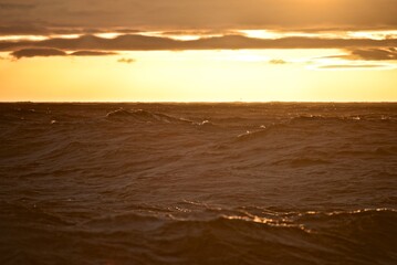 Low sun over the North Sea. Fall. Cold evening. Marine species. Photo from the side of the ship.