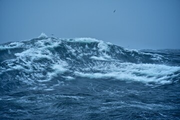 High waves on the high seas. Inside a typhoon in the Pacific Ocean. The hard work of sailors.