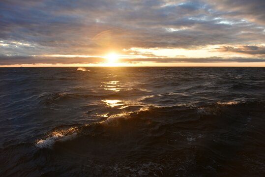 Low sun over the North Sea. Fall. Cold evening. Marine species. Photo from the side of the ship.