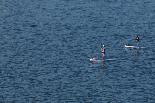Novosibirsk/ Russia – June 27 2020: Two women athletes with oars swim on surfboards along the river on a sunny day. Paddleboarding