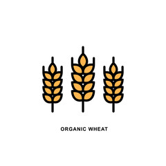 Vector logo Wheat ears linear icon for business, agriculture, beer, bakery, Gluten free. Black Line illustration isolated on white background.