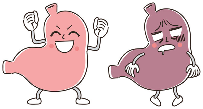 胃の健康 キャラクターのイラスト
