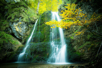 beautiful autumn forest waterfall in the morning