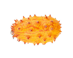 One ginseng fruit on white background