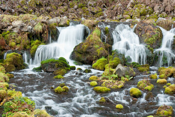 Fototapeta na wymiar 湧水と小さな滝のある秋の風景