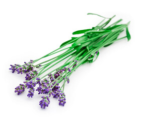 Naklejka premium Bouquet of lavender flowers isolated on a white background.
