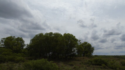 Obraz premium time lapse of clouds over the forest
