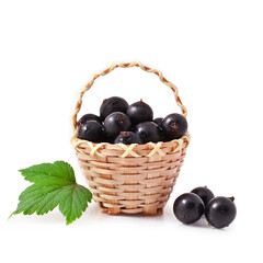 Fresh black currant in the wicker basket isolated on a white background.