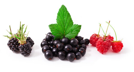 Blackberries, raspberries and black currant with leaves isolated on a white background.
