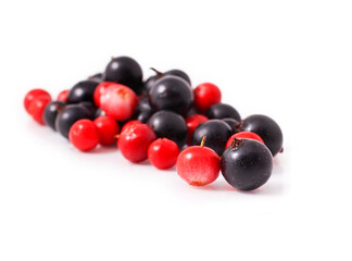 Black currant and cowberry isolated on a white background.