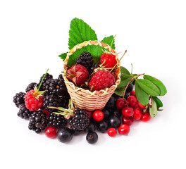Berries  in a basket isolated on a white background.
