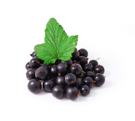 Fresh black currant isolated on a white background.