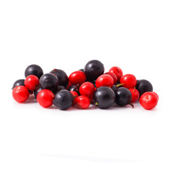 Black currant and cowberry isolated on a white background.