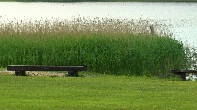 Lake shore with a beautiful lawn