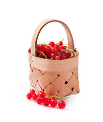 Red currant berries in a wicker basket isolated on a white background.