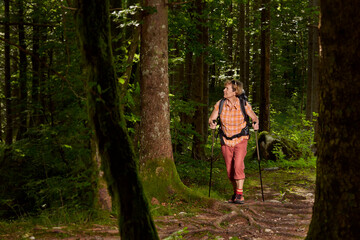 A middle-age woman are walking in alpine forest using walking sticks. Slovenia, Kamniska Bistrica.