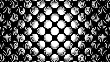Vector - Burst lines pattern in sphere shape.Black and white geometry background.Circle radius