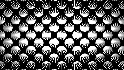 Vector - Burst lines pattern in sphere shape.Black and white geometry background.Oval radius