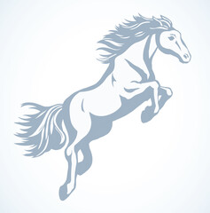 Galloping horse. Vector drawing icon