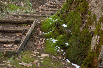雪と苔と木製の階段の遊歩道