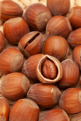 hazelnuts on a wooden table