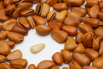 pine nut on white background