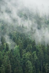 Nebel in den Bergen | Alpen | Bayern