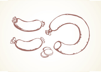Sausage. Vector drawing