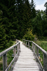 Fototapeta na wymiar Brücke über See in den Wald hinein