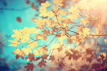 Fototapeta na wymiar branches leaves yellow background / abstract seasonal background falling leaves beautiful photo