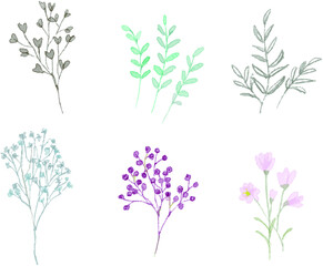 Obraz na płótnie Canvas 植物の水彩イラストのモチーフ