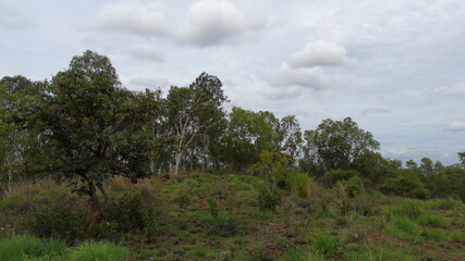 Obraz premium clouds over the forest