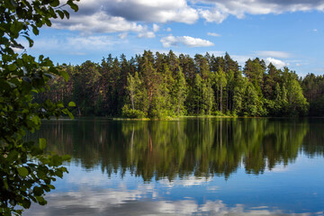 Fototapeta na wymiar A lake in a pine forest on a sunny summer day, Estonia
