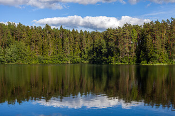 Fototapeta na wymiar Reflection of clouds in a forest lake on a sunny day, Estonia