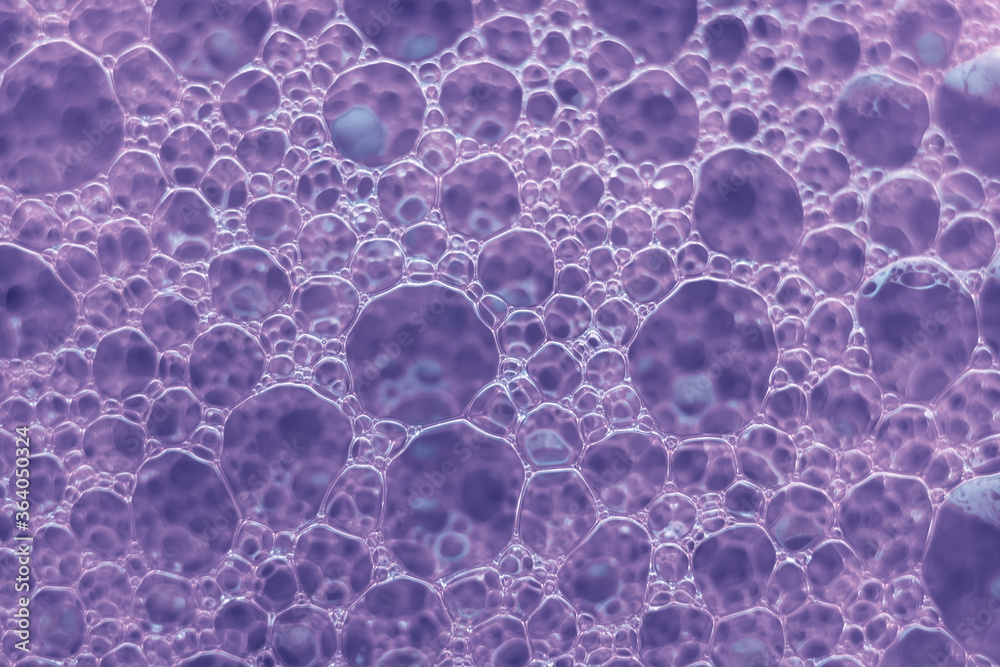 Poster Close up Beautiful purple abstract soap bubbles. Background pattern for design. Macro photography view.