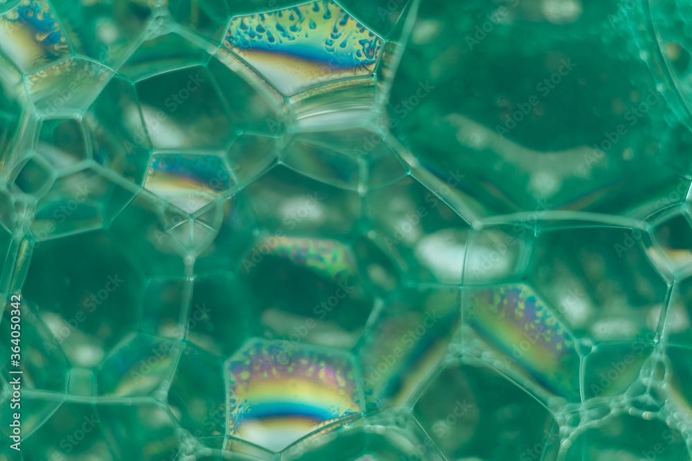 Poster Close up Beautiful green abstract soap bubbles. Background pattern for design. Macro photography view.