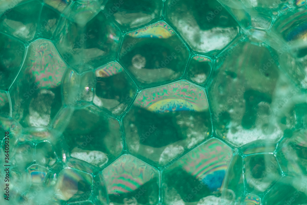 Fototapete close up beautiful green abstract soap bubbles. background pattern for design. macro photography vie