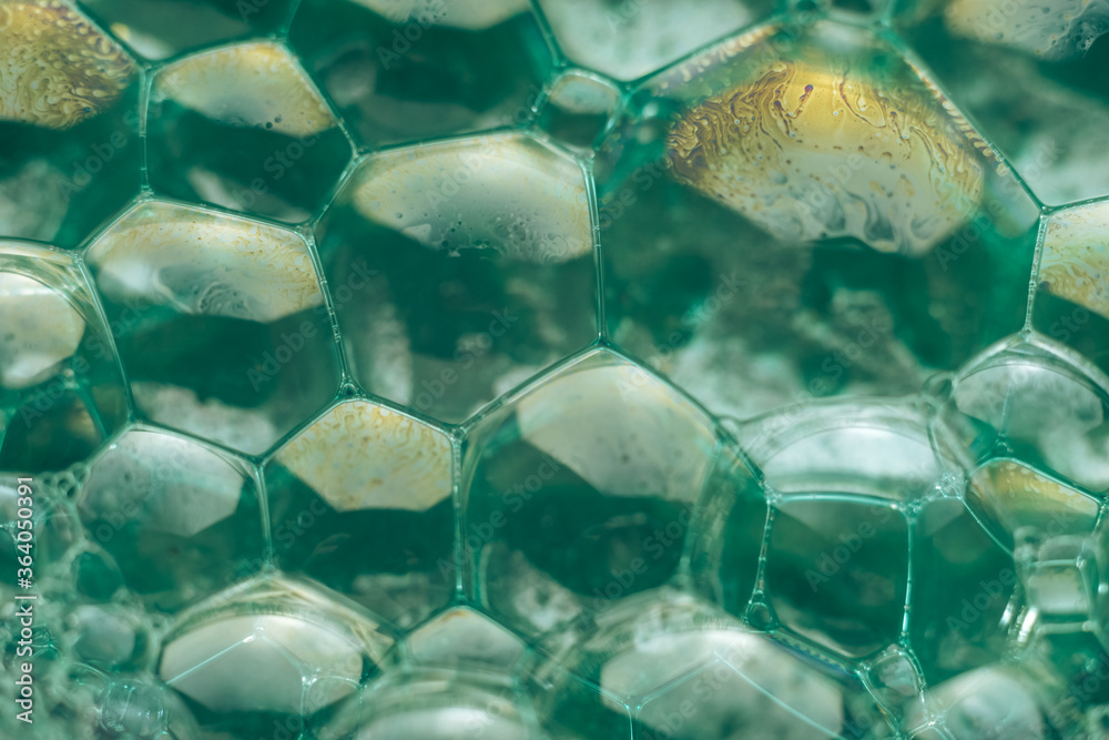 Fototapete close up beautiful green abstract soap bubbles. background pattern for design. macro photography vie