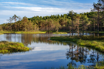 Fototapeta na wymiar forest lake with Islands in summer