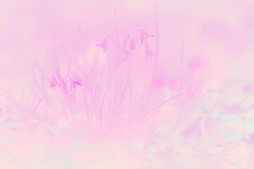 Fototapeta na wymiar pink toning leaves background, abstract unusual spring background